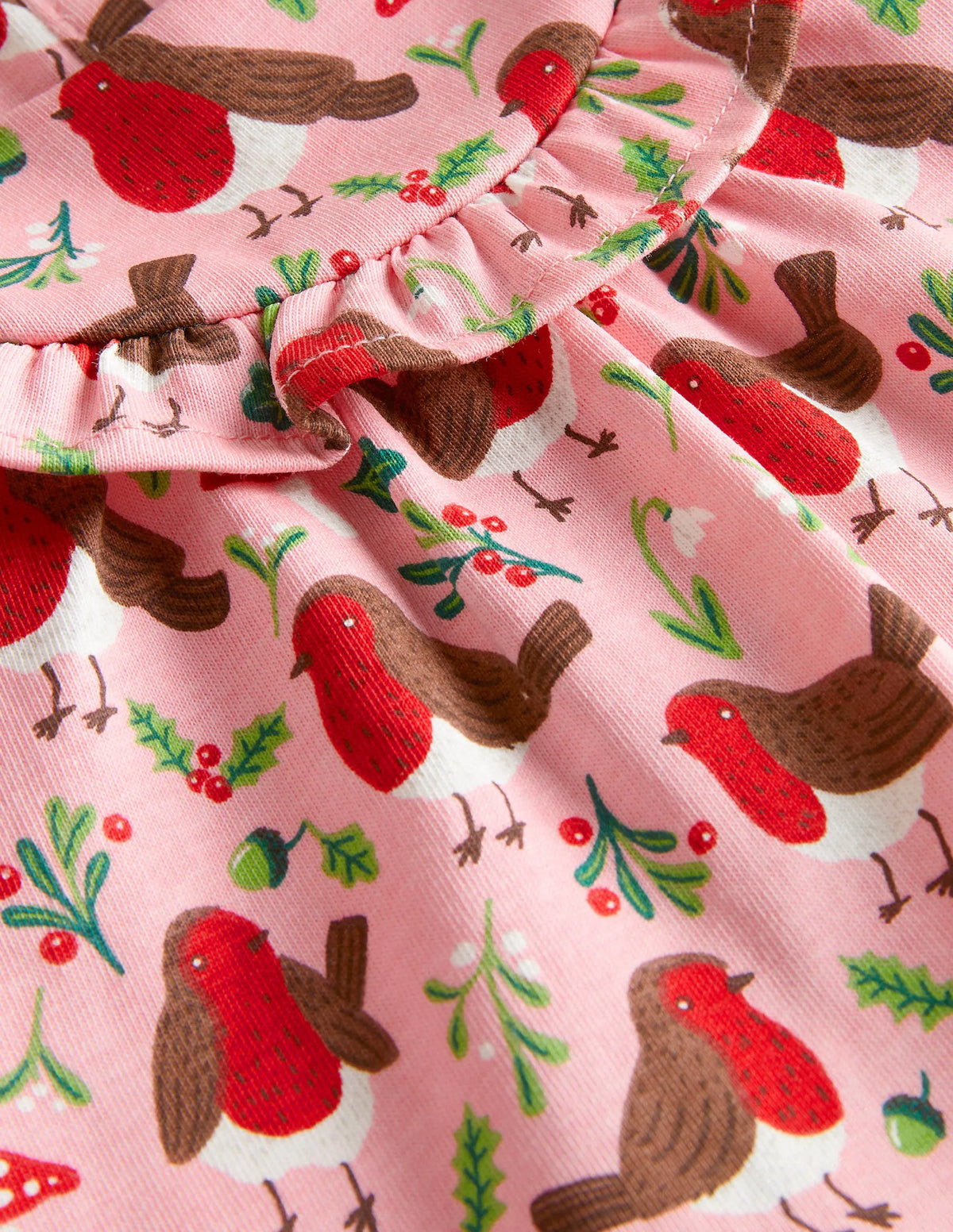 Printed Long Sleeve Dress-Boto Pink Robins