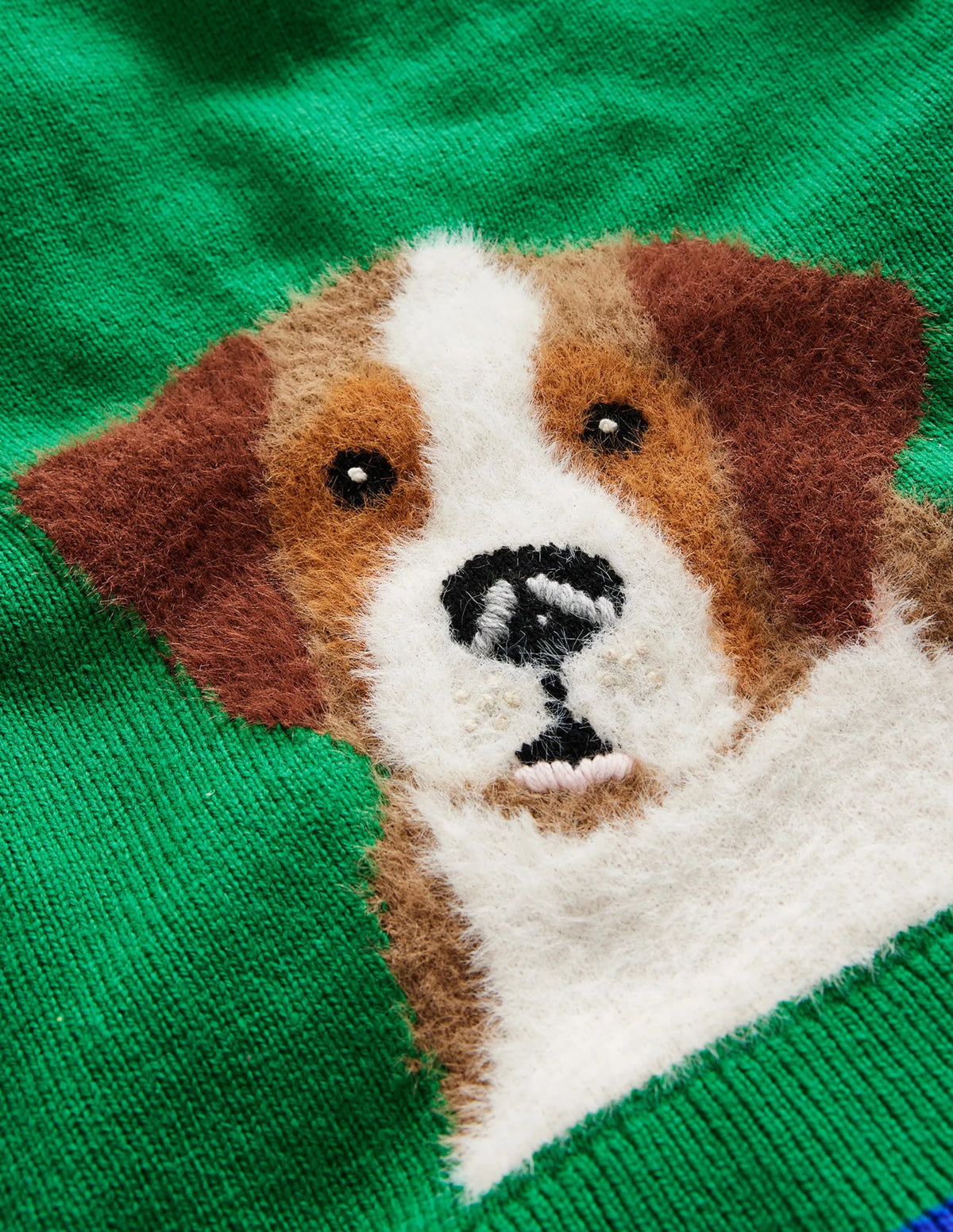 Fun Cosy Sweater-Runner Bean Green Dog