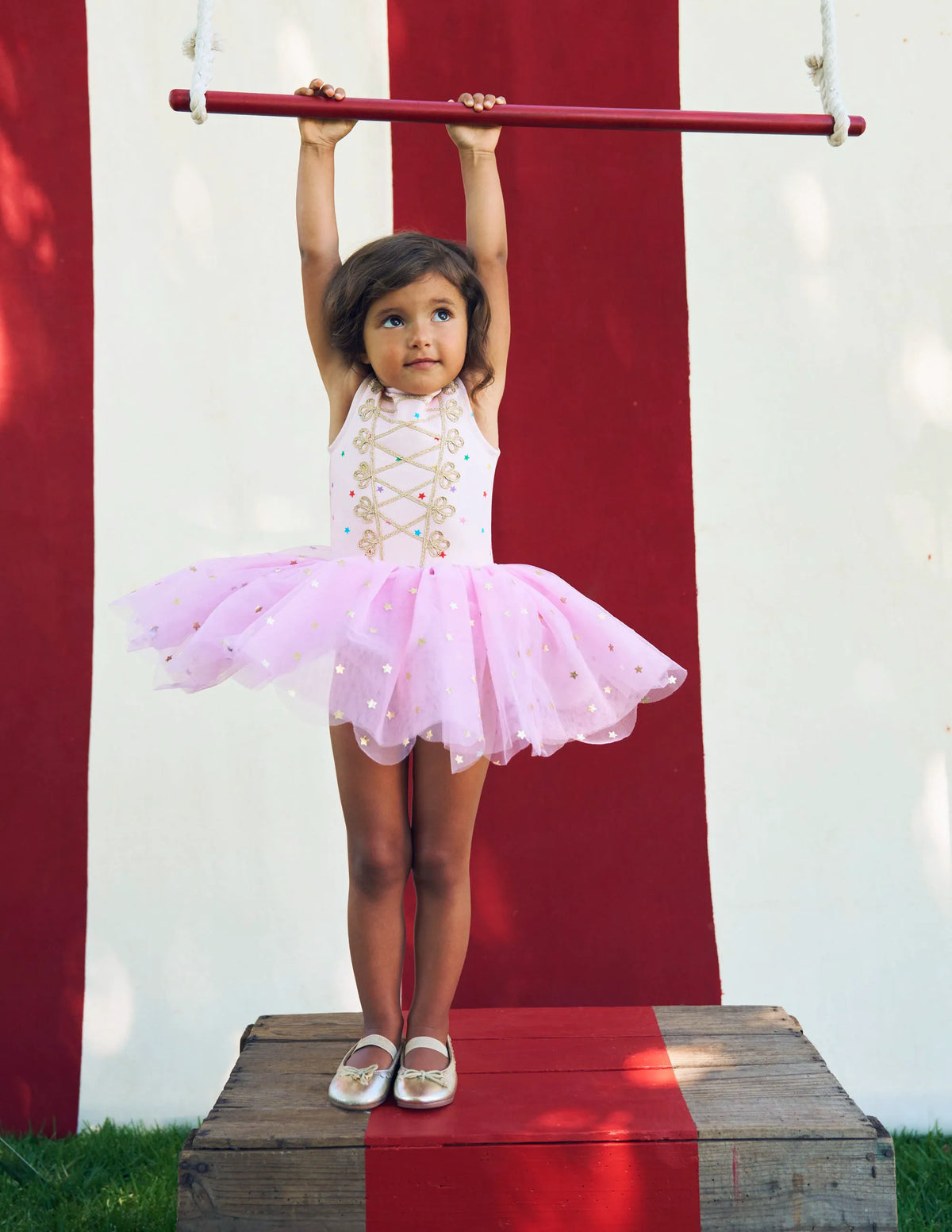 Magical Tutu-Vintage Mauve Foil Stars