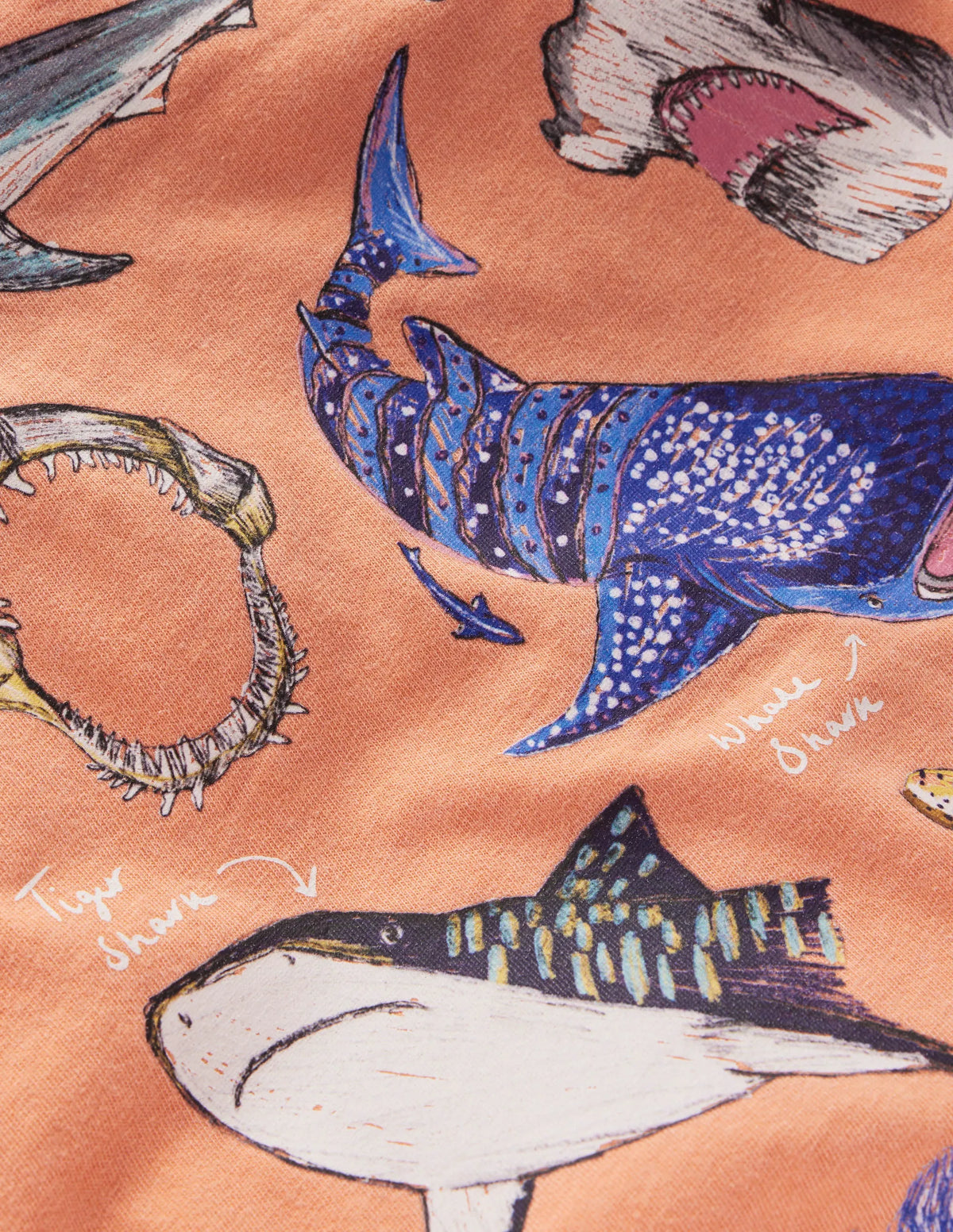 Educational T-shirt-ORANGE SHARKS