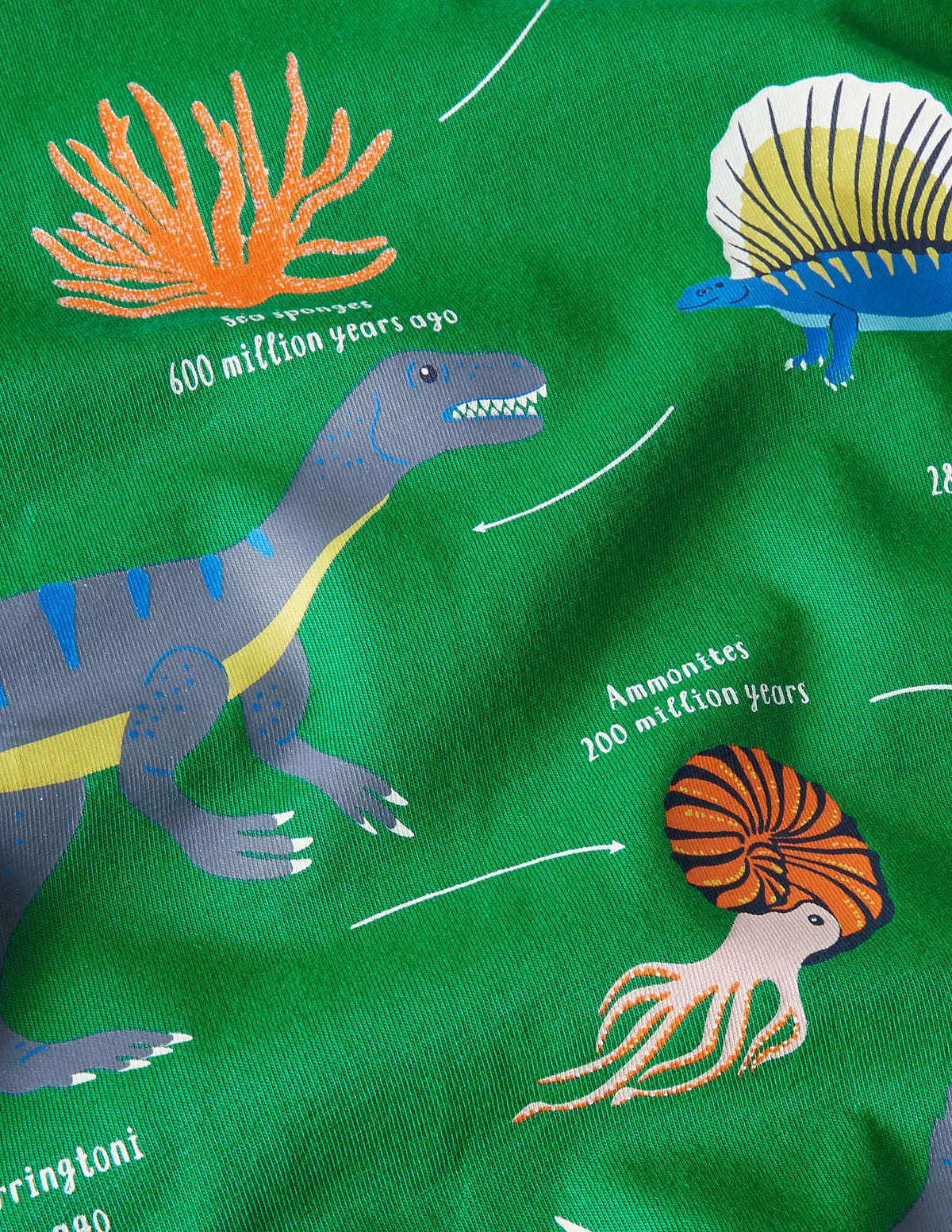 Educational Graphic T-shirt-Highland Green Dinosaurs