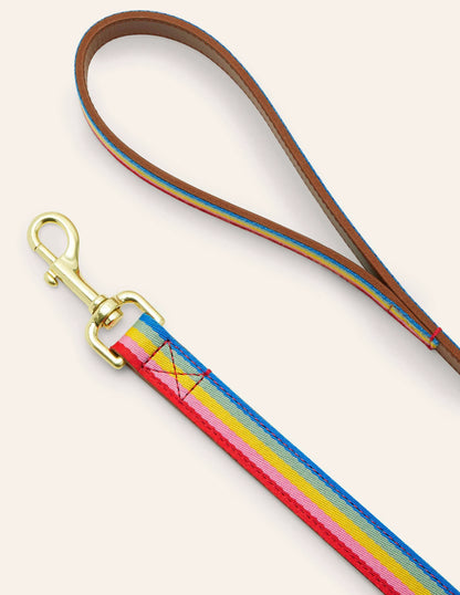 Leather Dog Lead-Tan, Multi Stripe