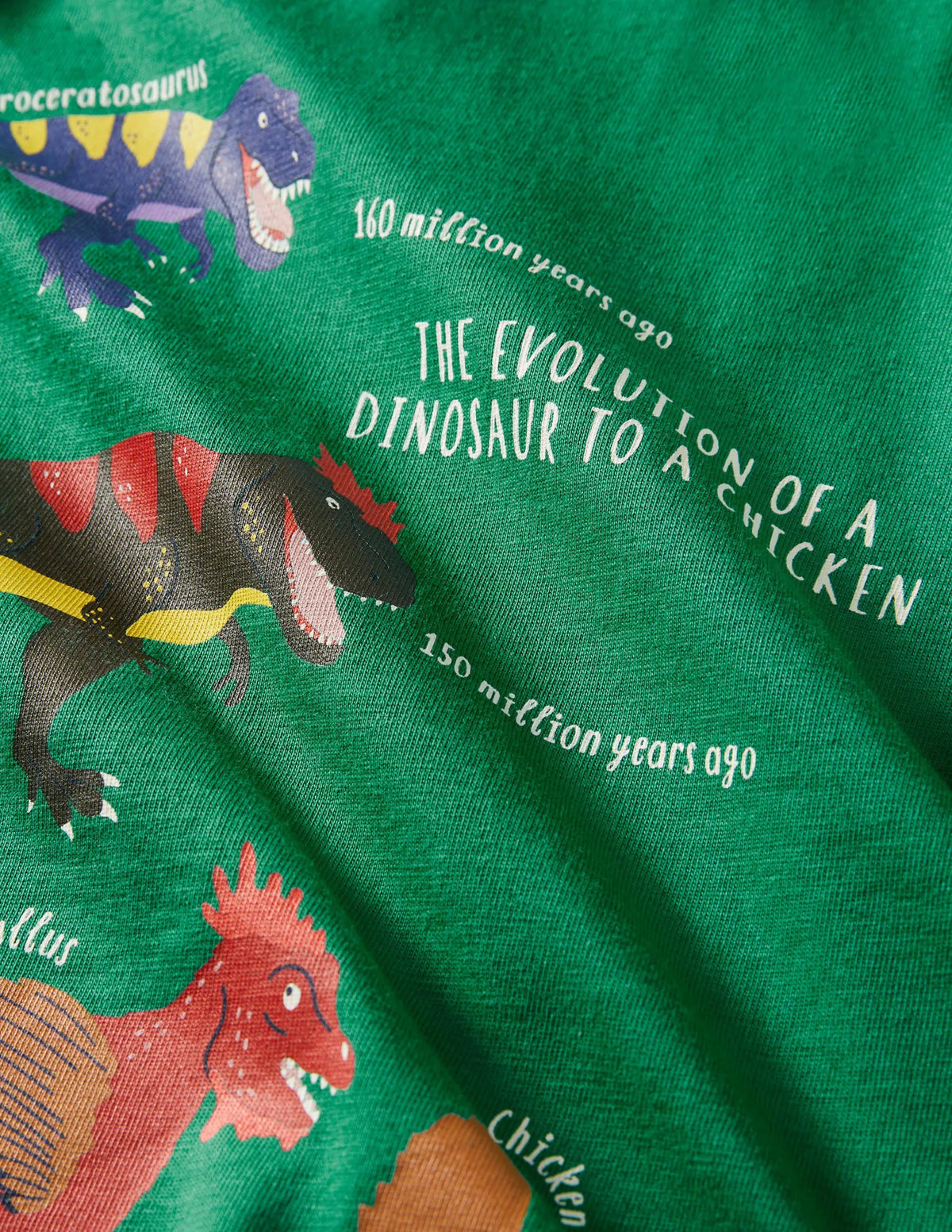 Printed Graphic T-shirt-Shady Glade Green Evolution