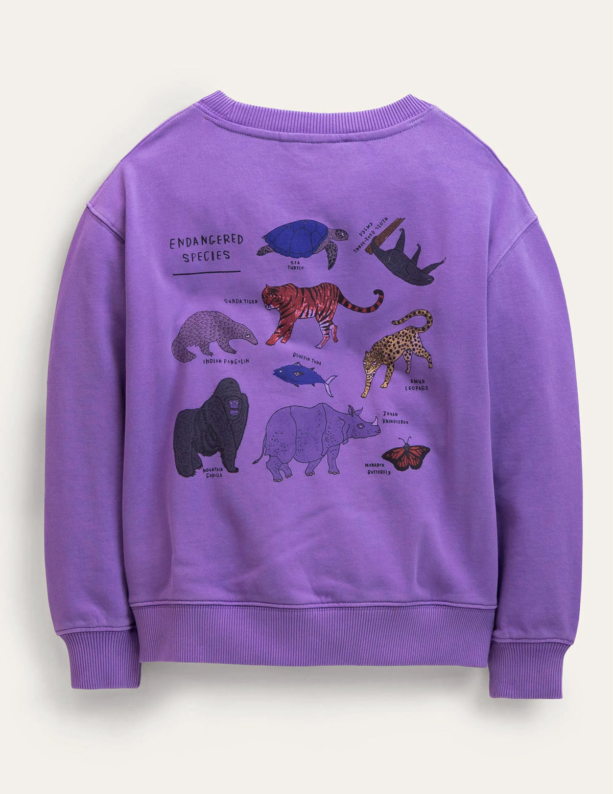 Logo Sweatshirt-Aster Purple
