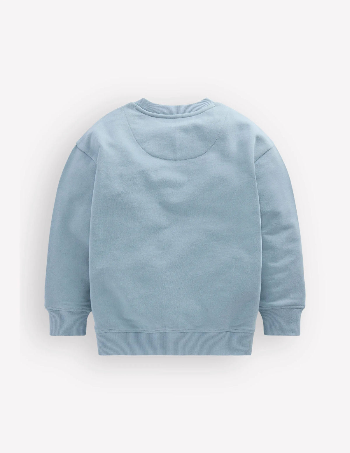 Fun Sweatshirt-Seamist Blue Chillies