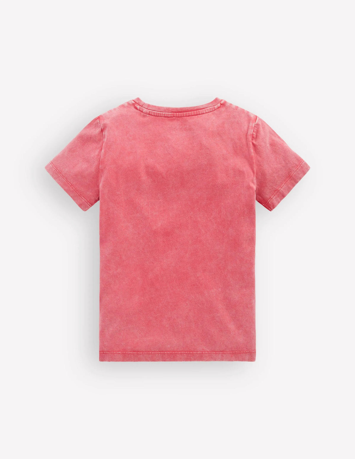 Educational T-shirt-Red Dino