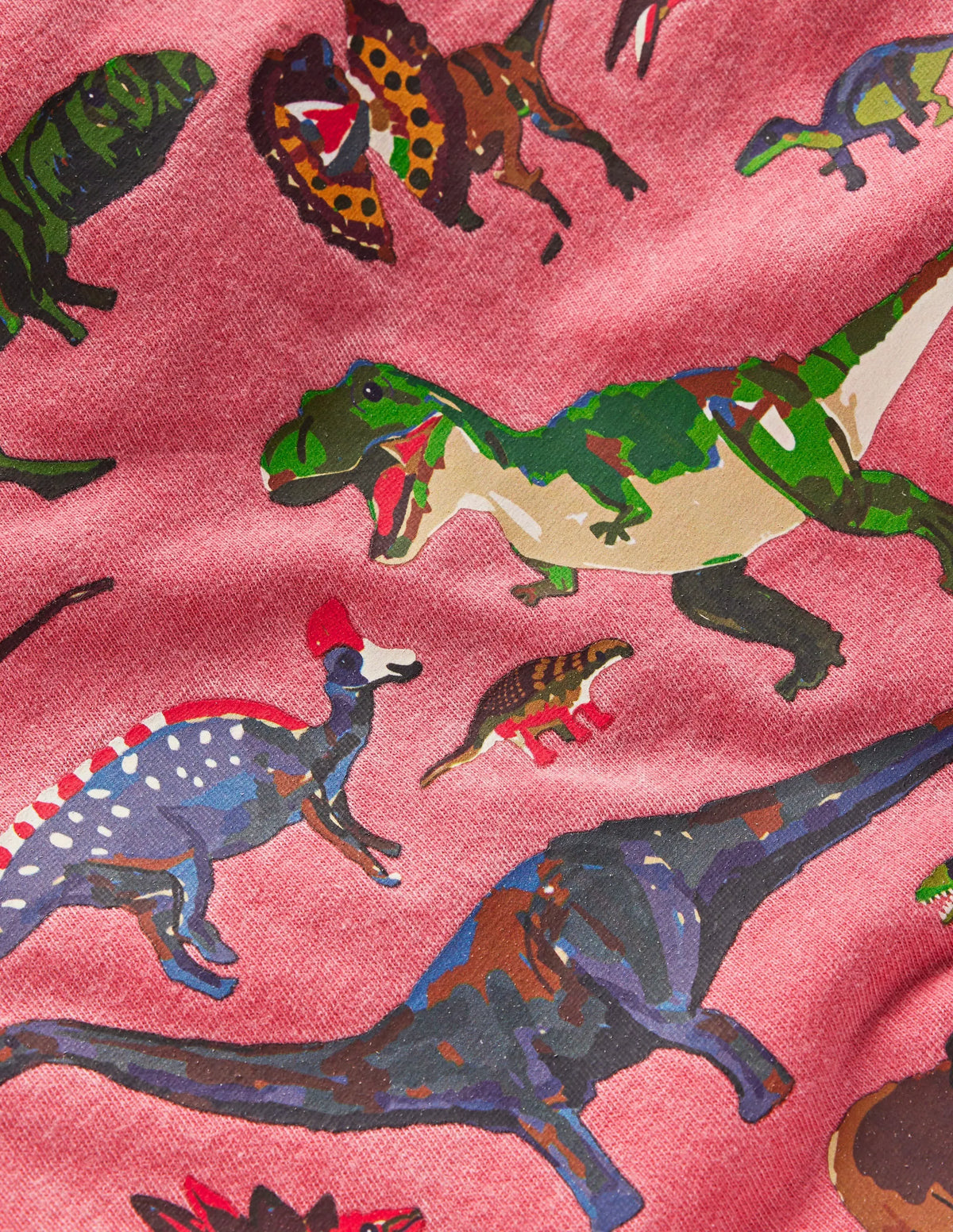 Educational T-shirt-Red Dino