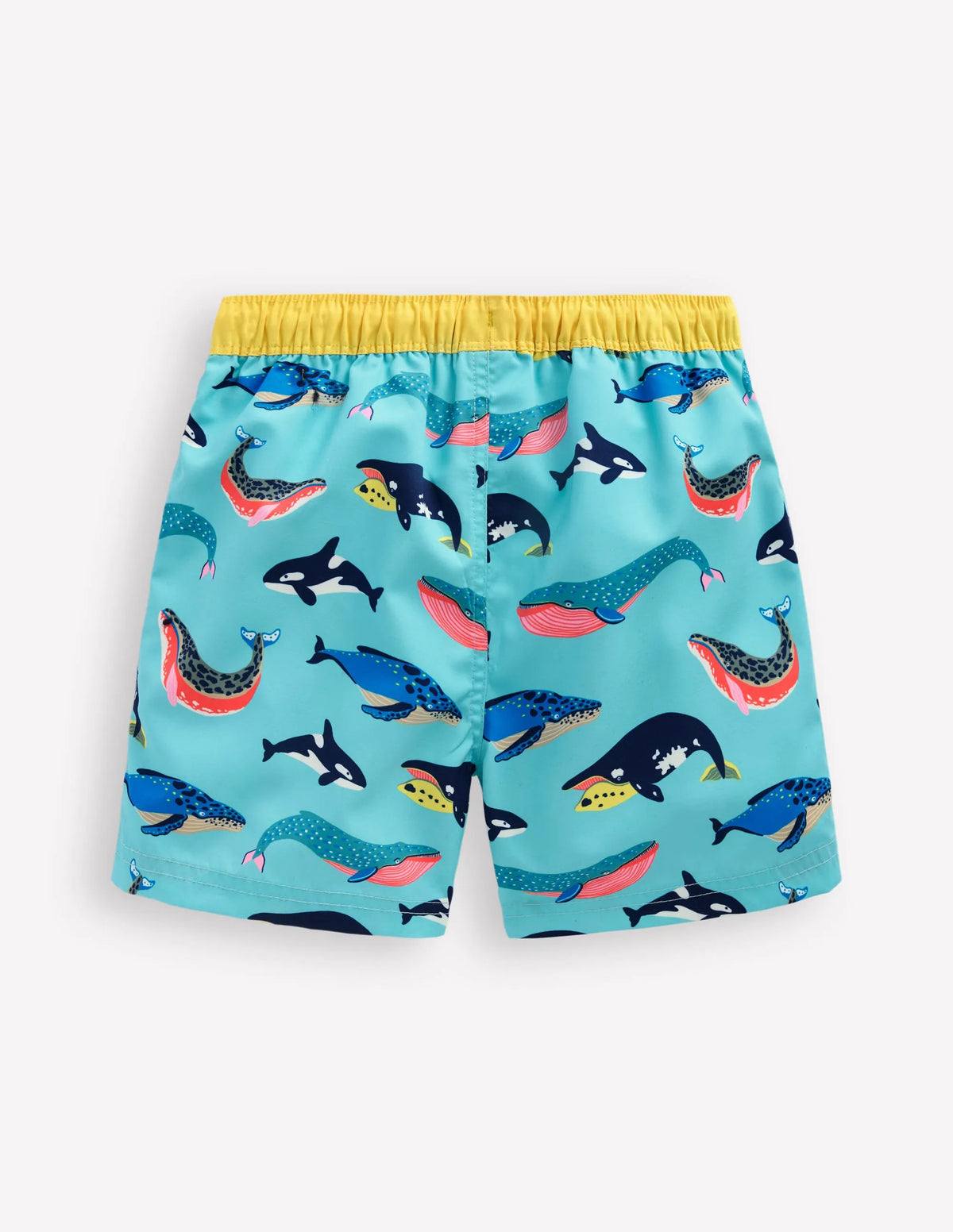 Swim Shorts-Swimming Whales
