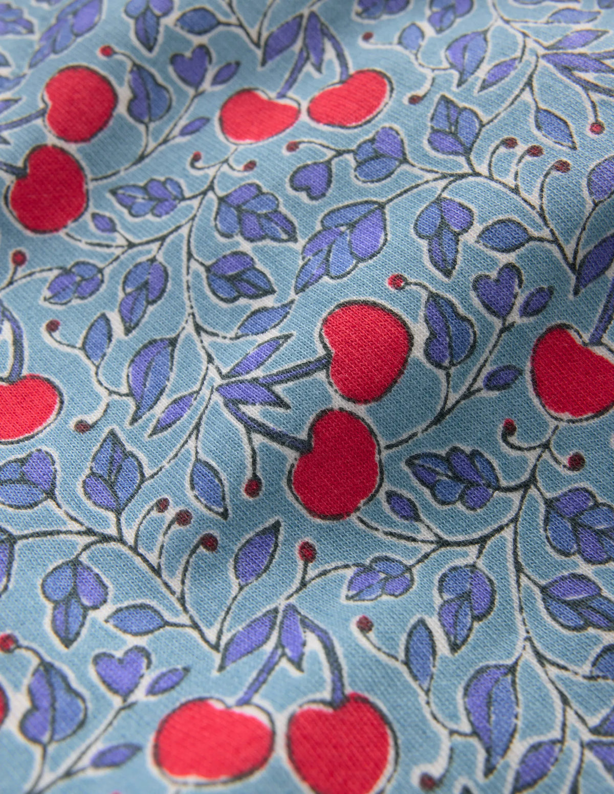 Printed Sweatshirt-Blue Cherries