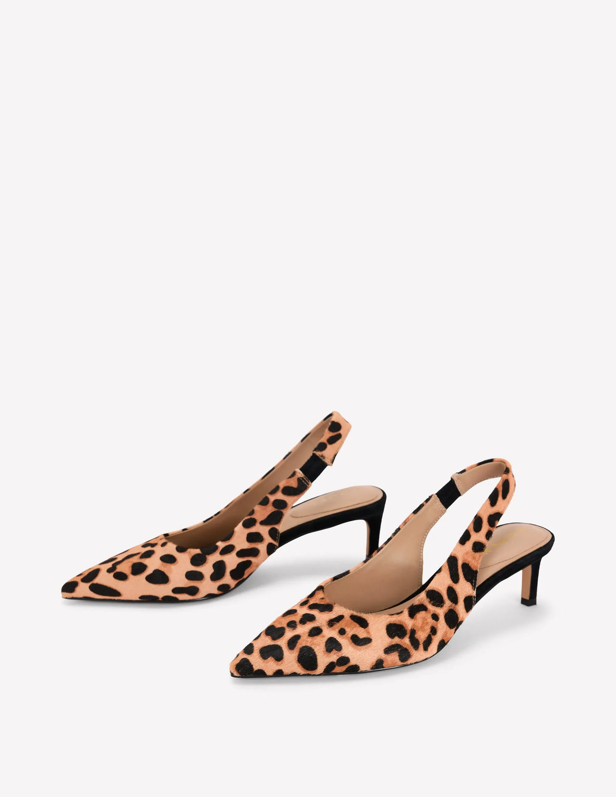 Hope Pointed Slingback Heels-Classic Leopard
